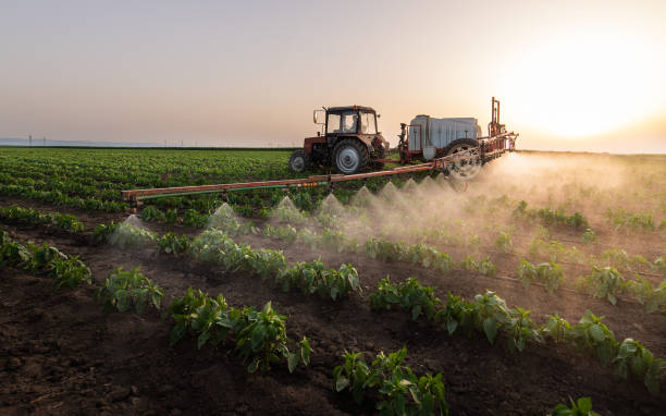 Best Pest Control Near Me  in Belmond, IA